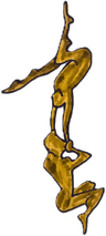Logo Le Cirque Renversé